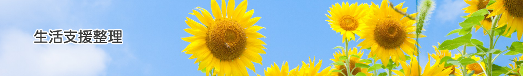 生活支援整理